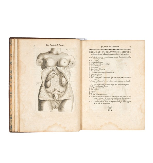 Œuvre de Mauriceau.