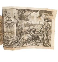 Auserlesene Merckwürdigkeiten, von Alten und neuen theologischen marckschreyen,
