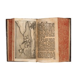 Auserlesene Merckwürdigkeiten, von Alten und neuen theologischen marckschreyen,