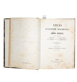Atlas d'anatomie descriptive du corps humain.