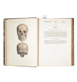 Atlas d'anatomie descriptive du corps humain.