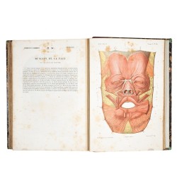 Atlas d'anatomie descriptive du corps humain.