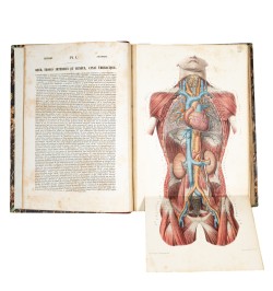 Atlas d'anatomie descriptive du corps humain.