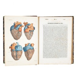 Atlas d'anatomie descriptive du corps humain.