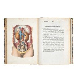 Atlas d'anatomie descriptive du corps humain.