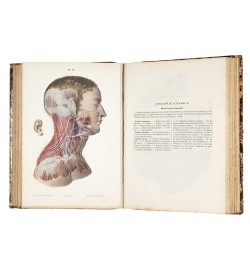 Traité et iconographie du système nerveux...