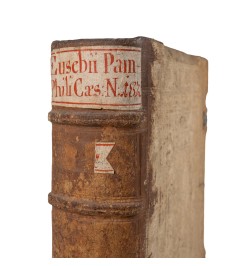 Habes Candidiss. Lector Eusebii Pamphili Caesariensis,