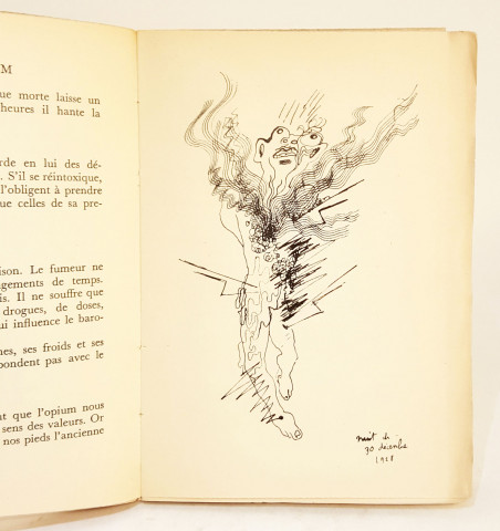 Opium. Journal d'une désintoxication.