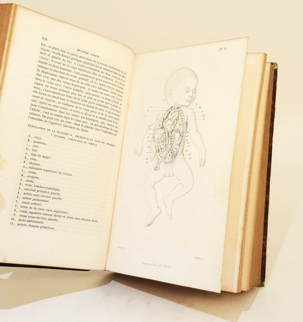 Livre Ancien : "Traité Théorique Et Pratique De L'art Des Accouchements" Par Cazeaux (1870)